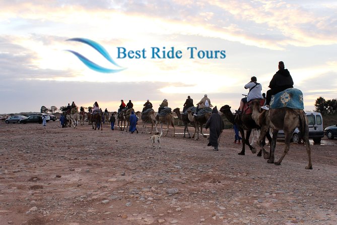 Agadir Camel Riding - Key Points