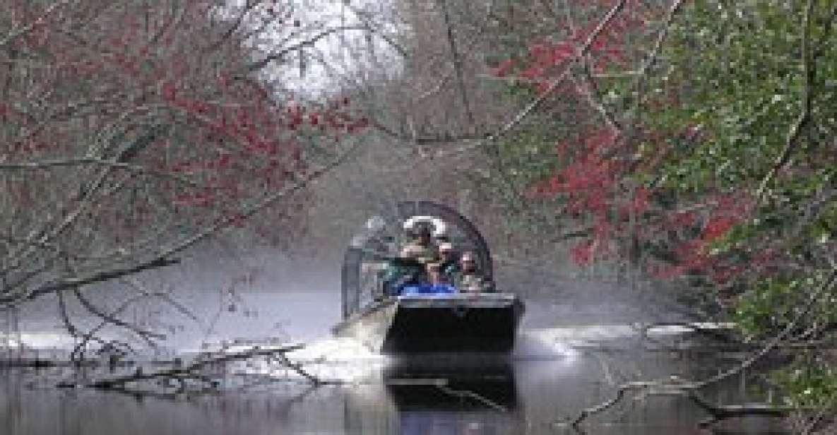 Airboat Tour of Louisiana Swamps - Key Points