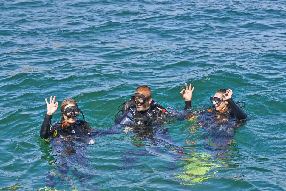 Albufeira: Scuba Diving Experience for Beginners - Key Points