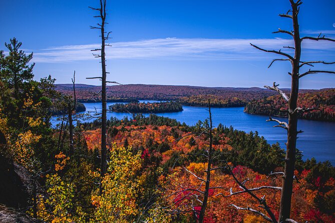 Algonquin Provincial Park Full Day Trip - Key Points