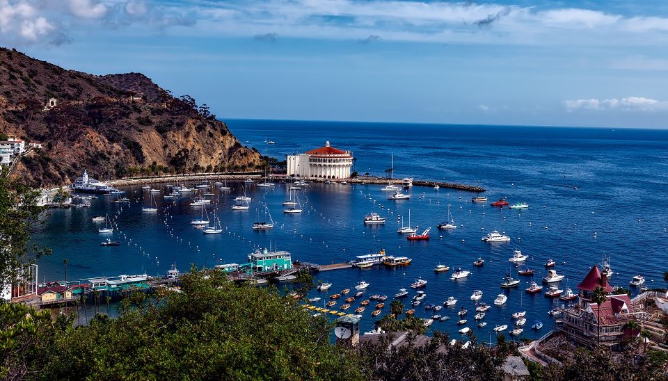 All-Inclusive Guided Tour of Catalina Island From Orange Co - Key Points