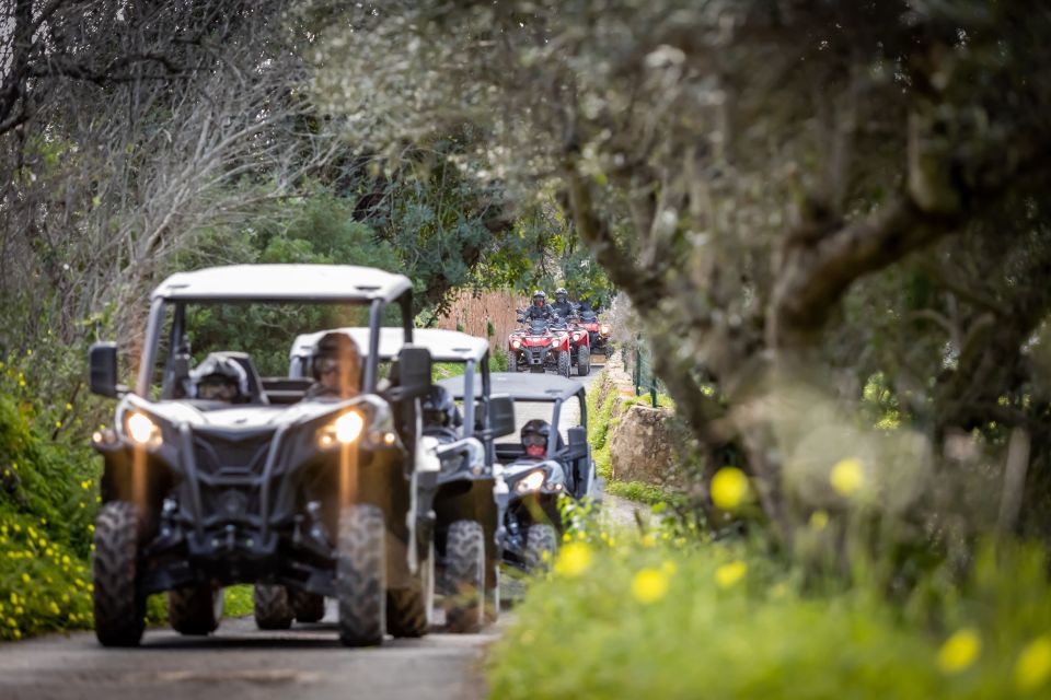 Almancil: Algarve Guided Off-Road Buggy Adventure - Key Points