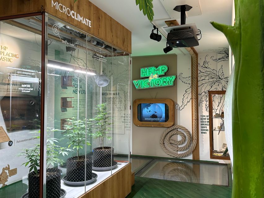 Amsterdam: Cannabis Museum Entry Ticket - Key Points