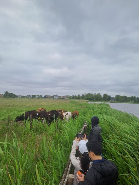 Amsterdam: Countryside Bike and Kayak Guided Tour - Key Points