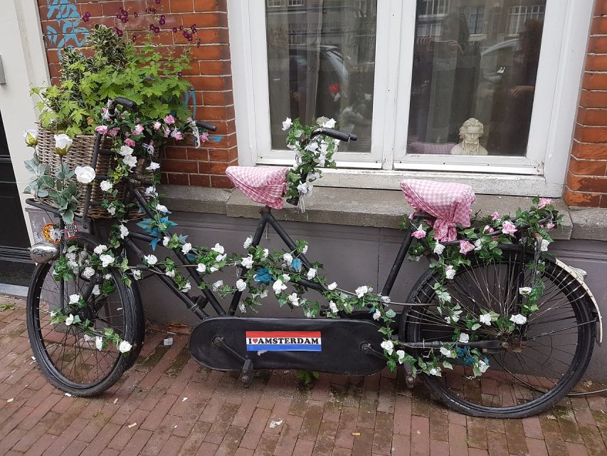 Amsterdam: Private Half-Day Countryside Bike Tour - Key Points