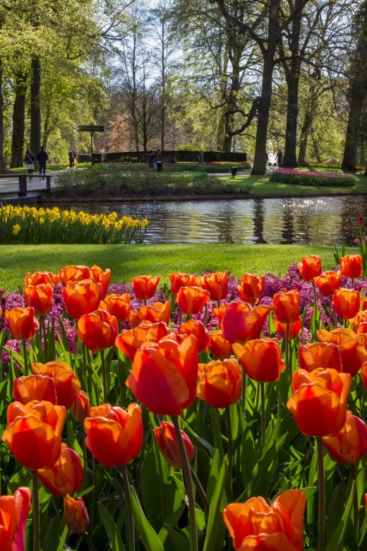 Amsterdam: Tour to Keukenhof Gardens With Windmill Cruise - Key Points