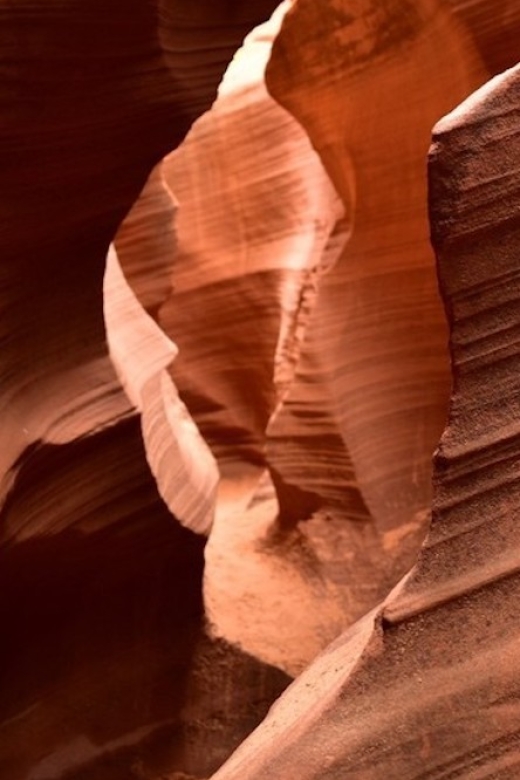 Antelope Canyon: Mountain Sheep Canyon Tour - Key Points