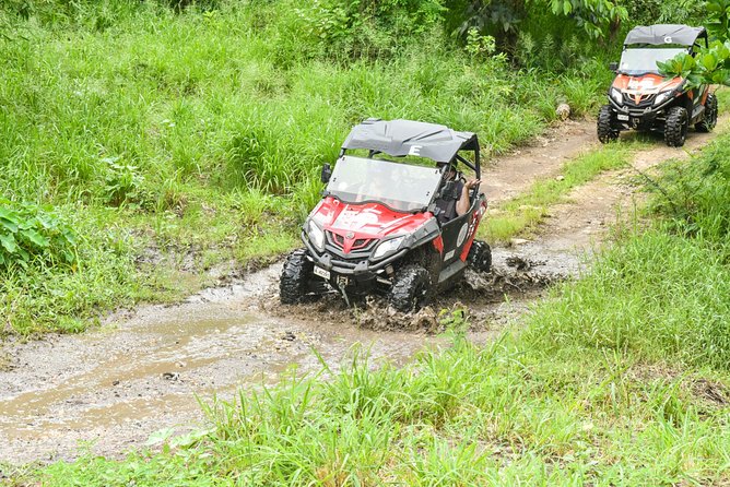 Antigua Buggy Explorer Tour From St. Johns - Key Points