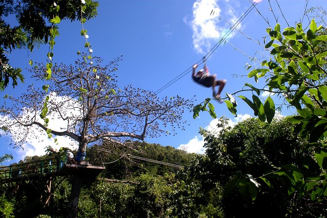 Antigua Zipline Canopy Adventure From St John'S - Overview of the Adventure