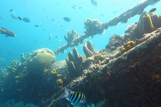 Antilla Shipwreck Seabob Tour - Exploring the Antilla Shipwreck