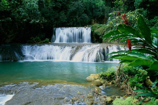 Appleton and Y.S Falls Tour From Negril Hotels - Inclusions