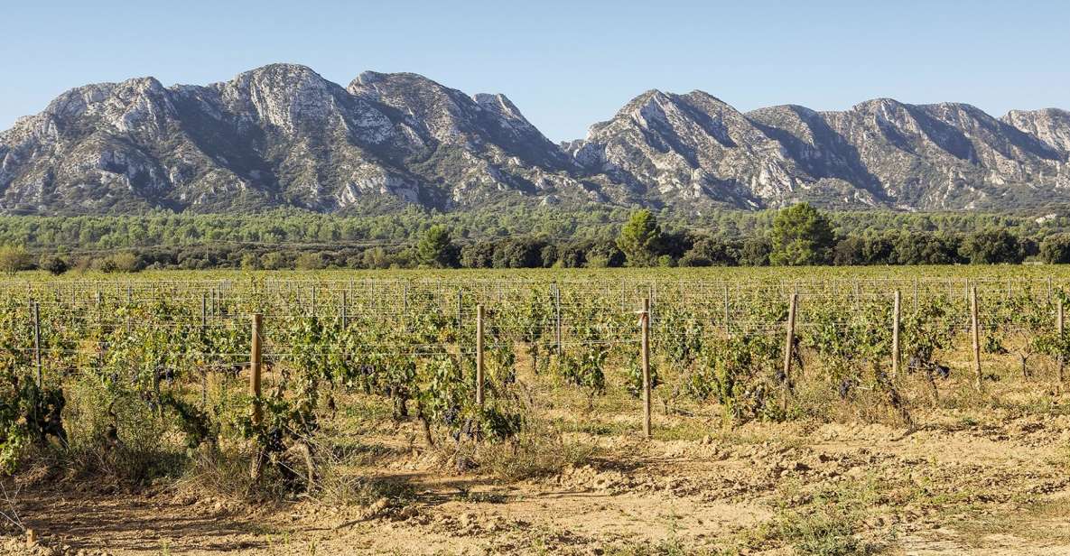 Arles, Saint-Rémy & Les Baux De Provence: Guided Tour - Key Points