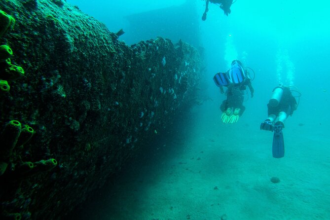 Aruba 2-Tank Dive Excursion for Certified Divers - Overview of the Excursion