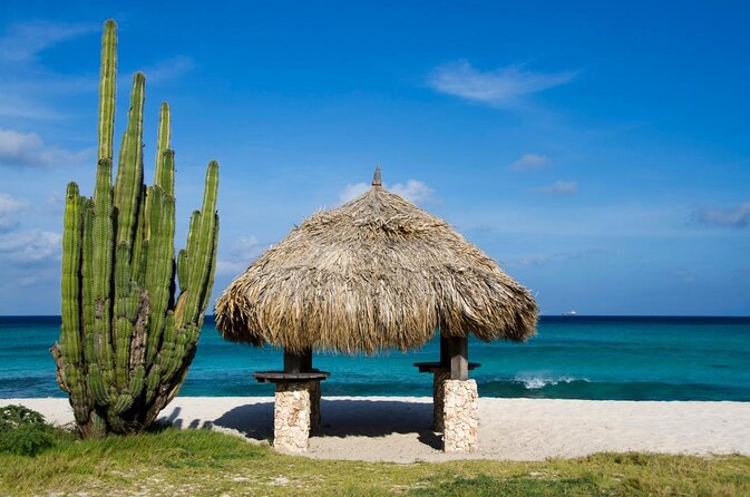 Aruba Island Sightseeing Tour Plus Arashi Beach Visit - Key Points