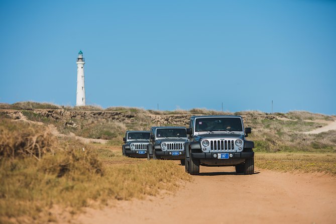 Aruba Off-Road Adventure: Jeep Tour and Optional Snorkel Cruise - Key Points