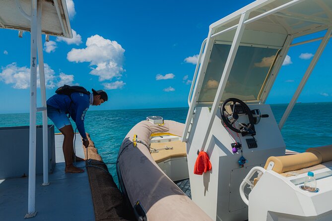 Aruba Single Jetski Waverunner Near Eagle Beach - Key Points