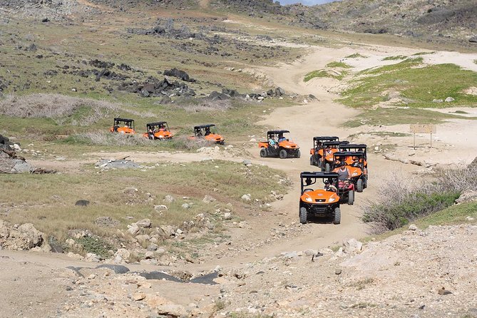 Aruba UTV Rentals For Off-Road Adventure - Key Points