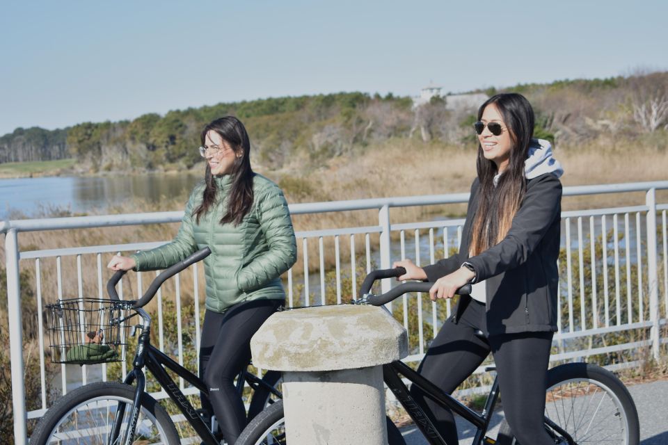 Assateague Island: Bicycle Rental From the Visitor Center - Key Points