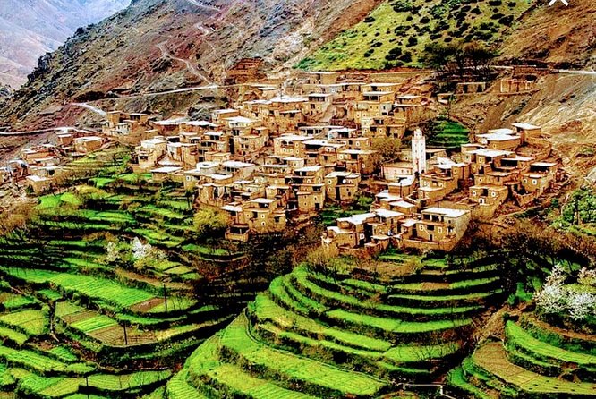 Atlas Mountains Ourika Valley Day Tour From Marrakech - Key Points