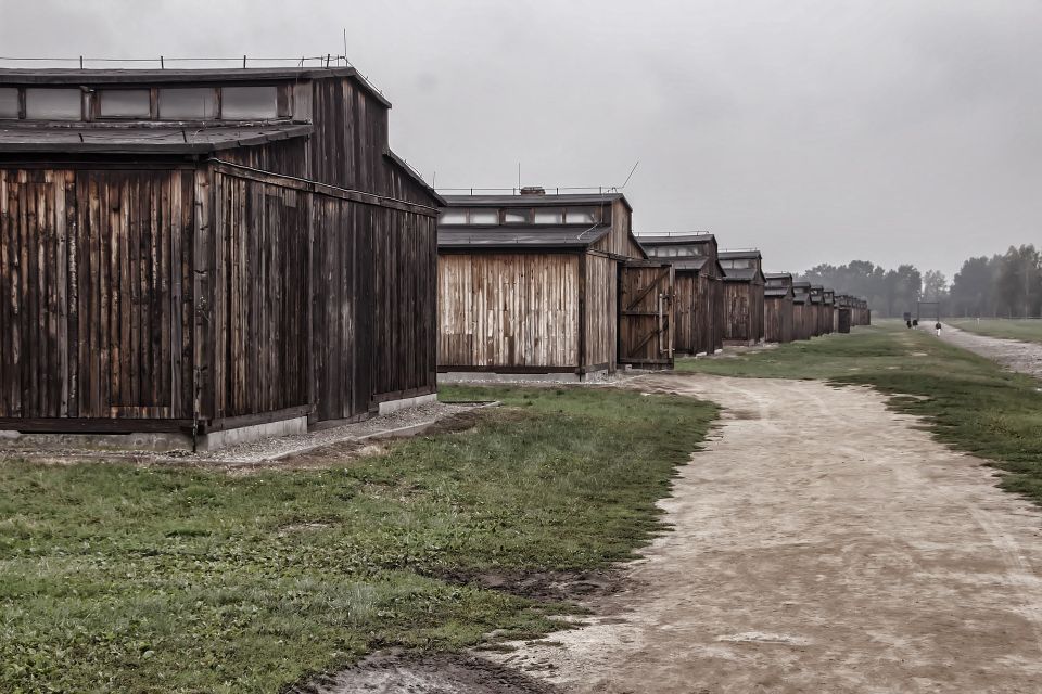 Auschwitz-Birkenau: Entrance Ticket and Live Tour Guide - Key Points