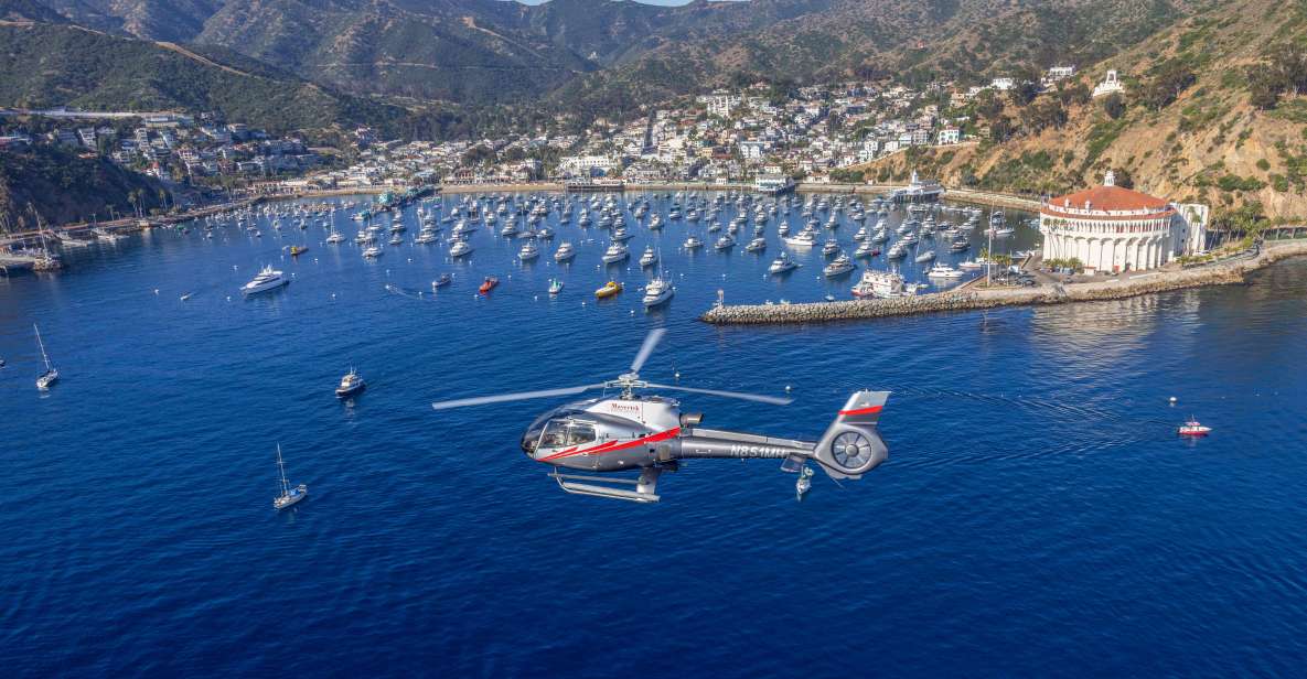 Avalon: Santa Catalina Island Aerial Helicopter Tour - Key Points