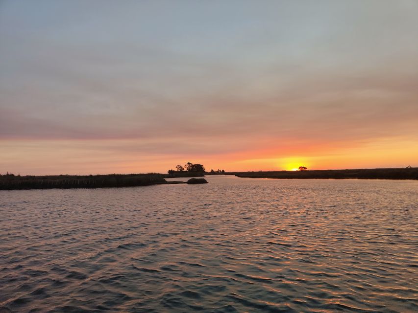 Aveiro: Ria Highlights Boat Tour - Key Points