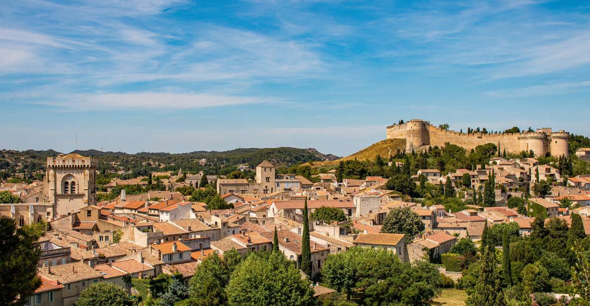 Avignon Private Guided Tour and Wine Tastings From Marseille - Key Points