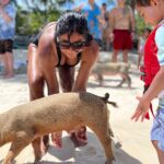 Bahamas Swimming Pigs Experience On Rose Island Overview