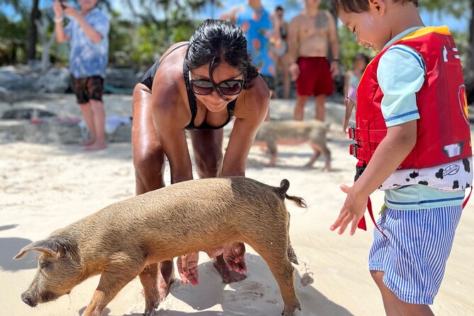 Bahamas Swimming Pigs Experience On Rose Island Overview