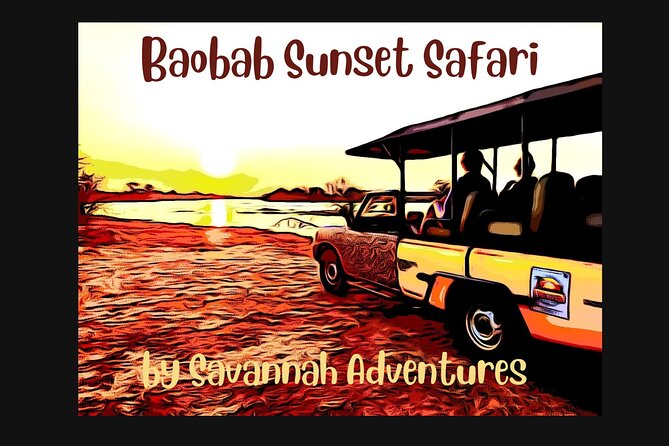 Baobab-Sunrise-Sunset-Vulture-Moonlight Safaris, 4 Options - Key Points