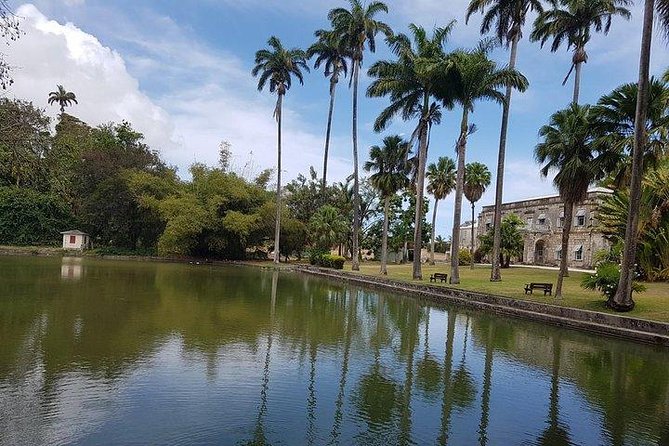 Barbados Amazing Full Day Private Rural Excursion - Tour Overview