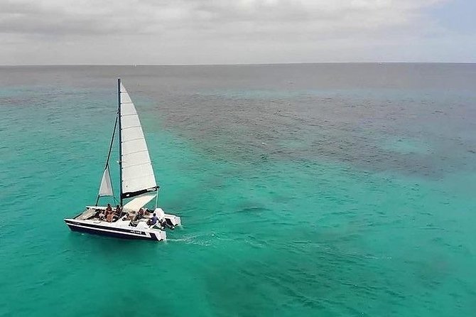 Barbados Catamaran Snorkel Cruise With Open Bar - Inclusions Onboard