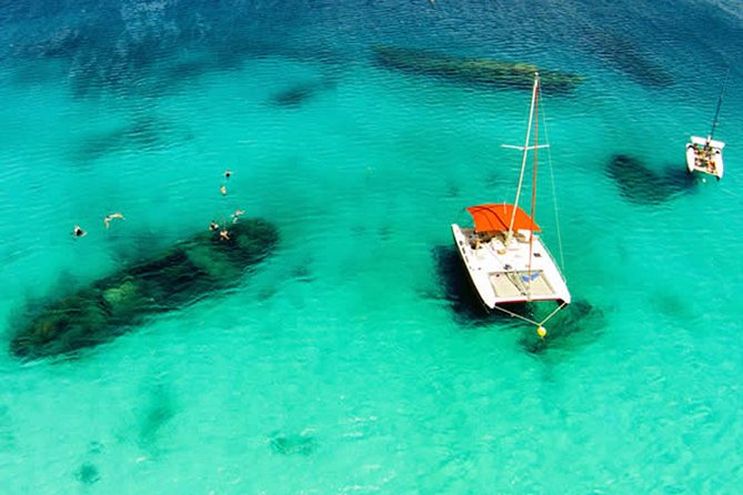 Barbados Catamaran Turtle Snorkel With Lunch and Open Bar - Overview of the Tour