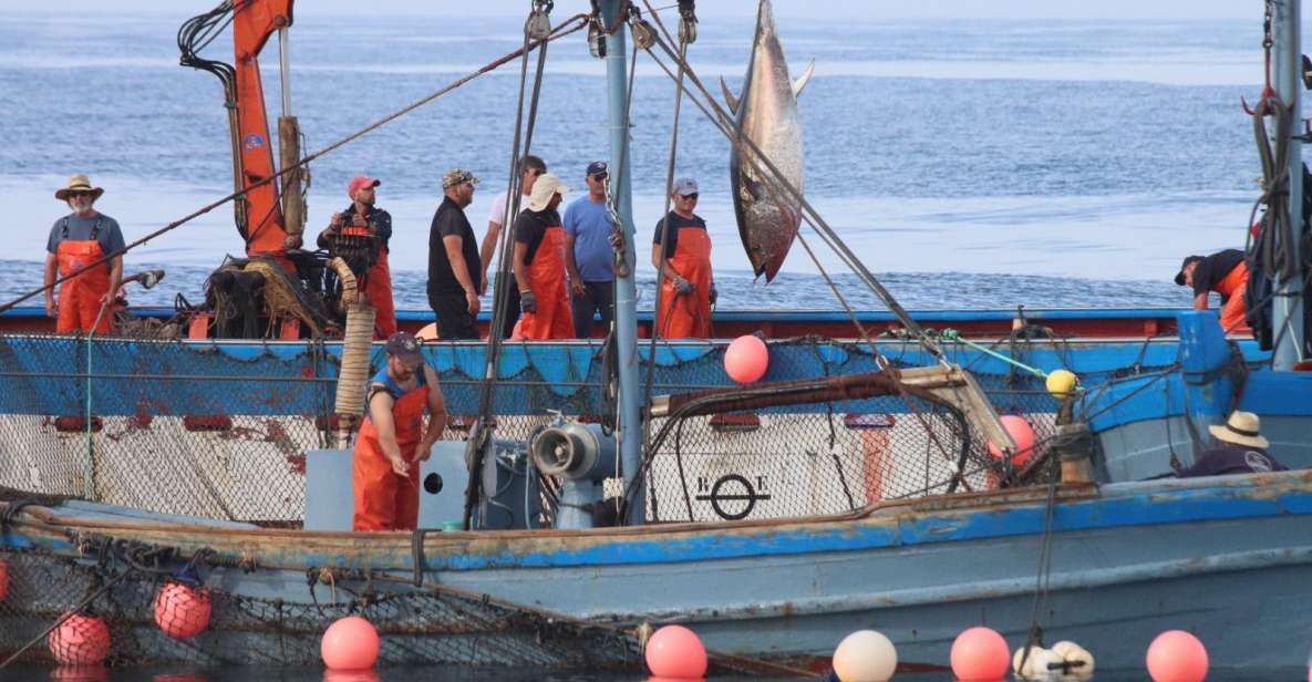 Barbate: Boat Tour to the Almadraba of Conil (Tuna Fishing) - Key Points