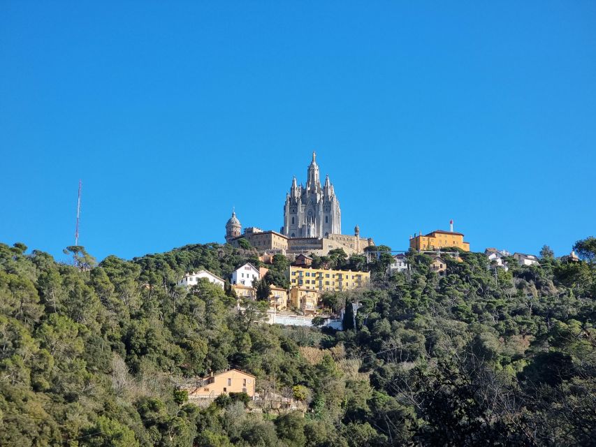 Barcelona Secret Forest: Nature Hike & Best Views - Key Points