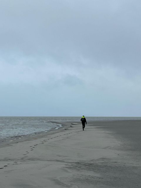 Bay of Mont Saint-Michel: Towards The Immensity - Key Points