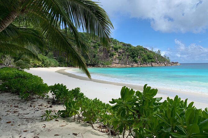 Beaches, Sand Castles, Swimming & Snorkeling | Mahé | Seychelles | Private Tour, NEW - Key Points