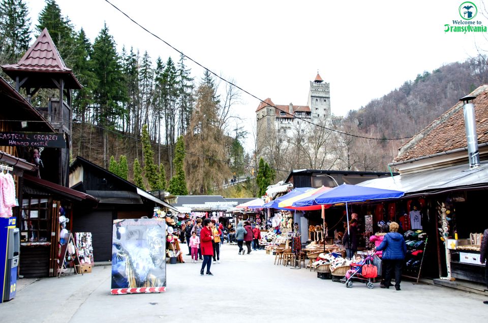 Bear Sanctuary & Bran Castle & Airport OTP From Brasov - Key Points