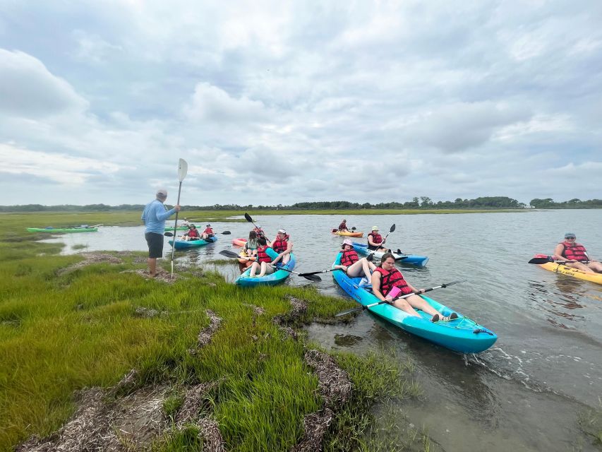 Berlin: Assateague Island Wildlife Discovery Kayak Tour - Key Points