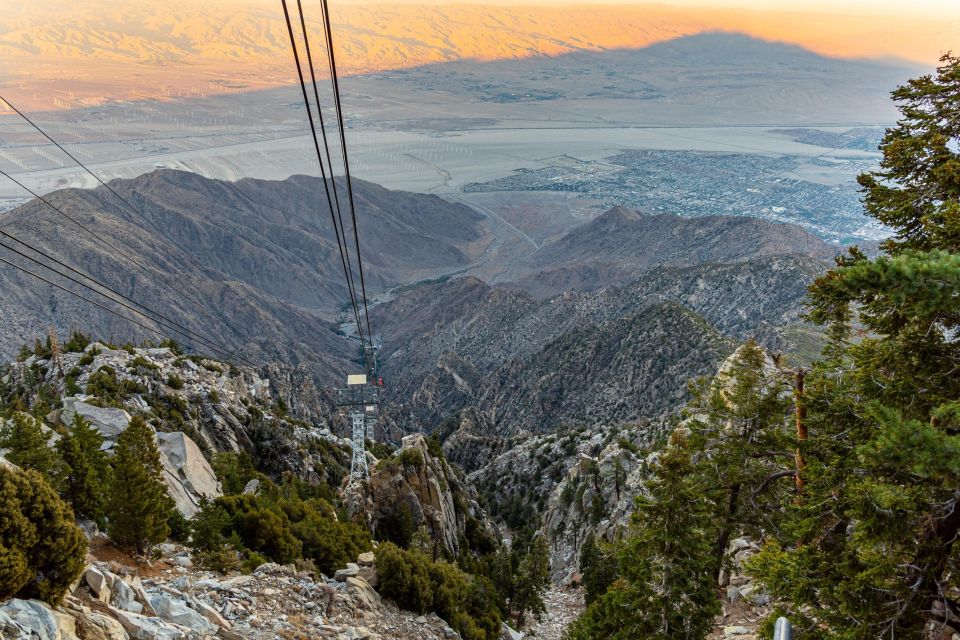 Best of Palm Springs Small Group Tour W/ Aerial Tram - Key Points