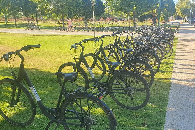 Bike Rental per Day in Seville - Key Points