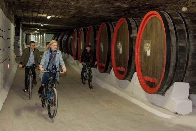 Biking a Guinness Book Winery - Key Points