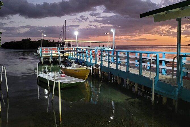 Bio Bay Swimming Experience With Boat Transport From La Parguera - Key Points