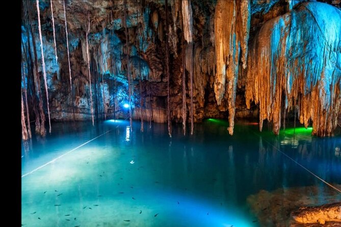 Bioluminescence Lagoon Tour From Montego Bay With Pick up - Tour Overview