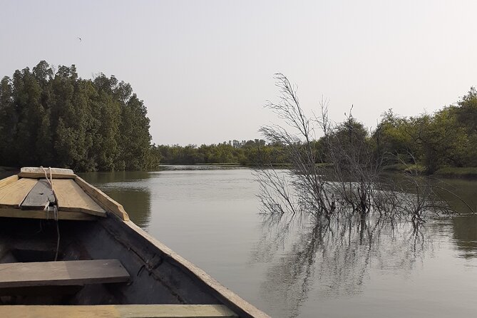 Birdwatching Tours - Tour Overview