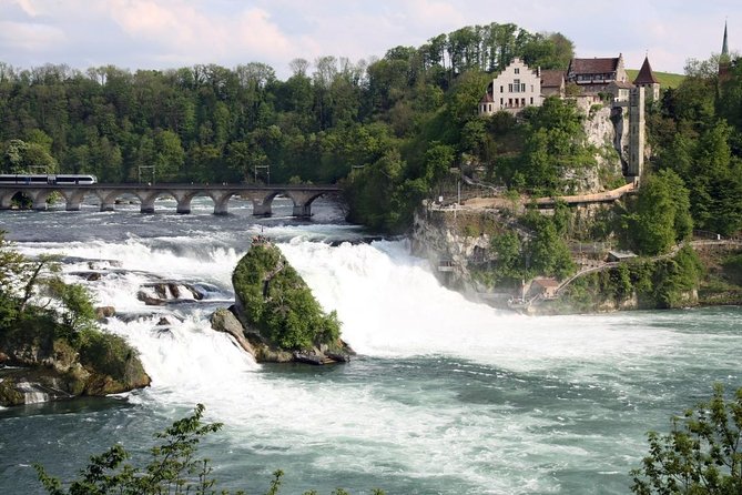 Black Forest and Rhine Falls Day Trip From Zurich - Key Points