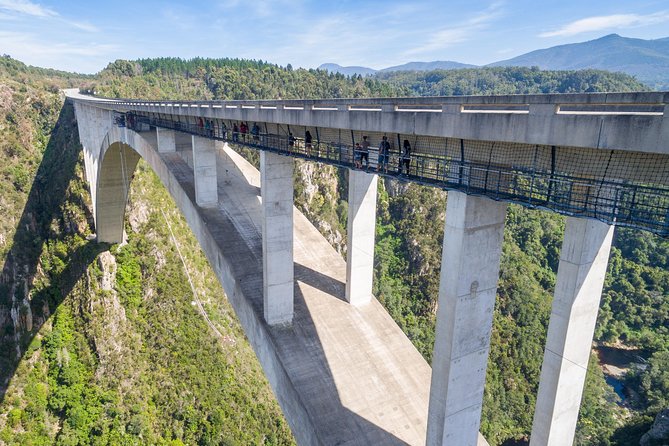 Bloukrans Bungy, the Worlds Best Bungy Jump! - Overview of Bloukrans Bridge