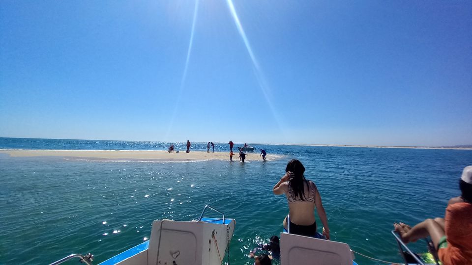 Boat Tour in Ria Formosa 3H - Key Points