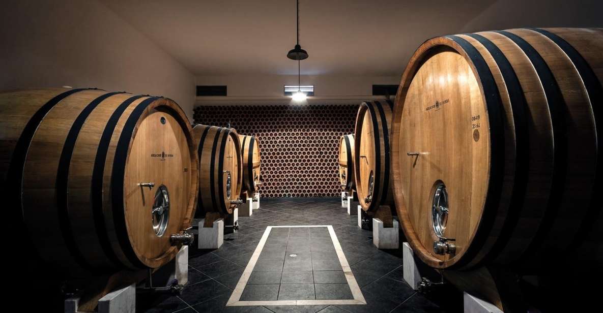 Borba: Winery Tours and Amphora Wine Tasting - Key Points