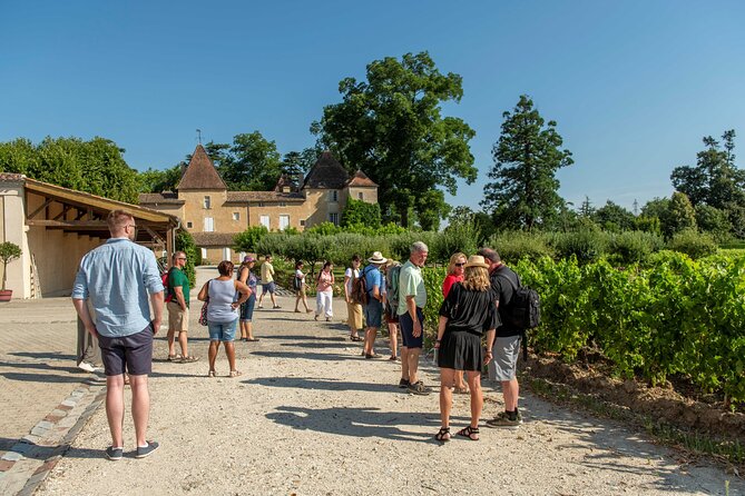 Bordeaux Vineyards Wine Tasting Half-Day Trip - Key Points